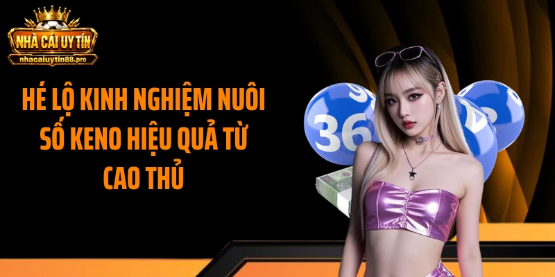 Hé lộ kinh nghiệm nuôi số keno hiệu quả từ cao thủ