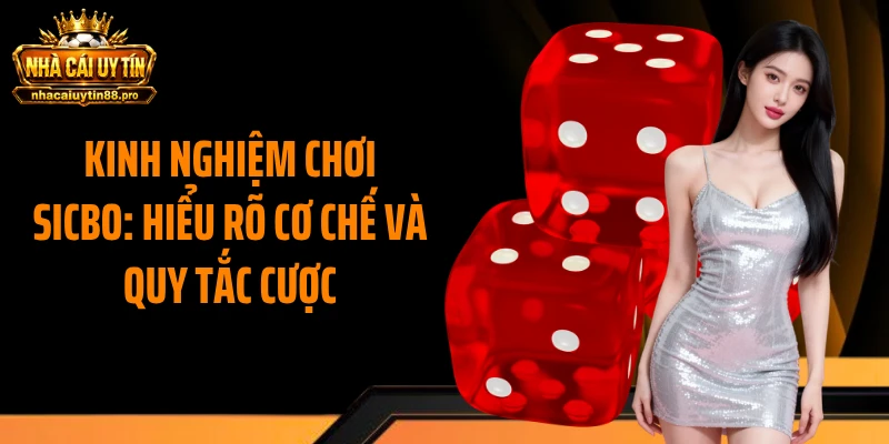 Kinh nghiệm chơi Sicbo: Hiểu rõ cơ chế và quy tắc cược
