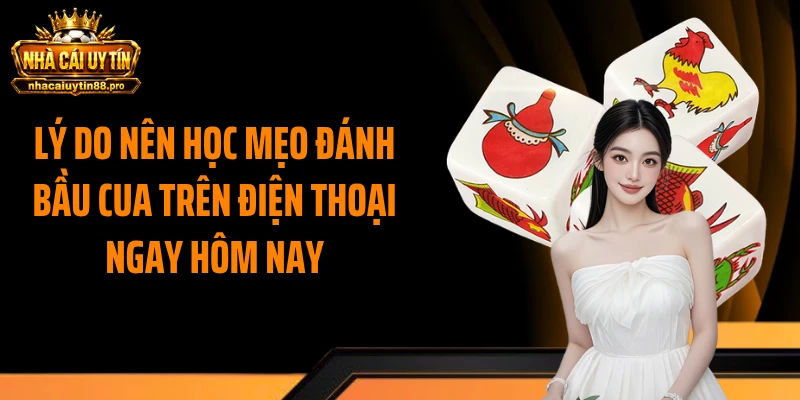 Lý do nên học mẹo đánh bầu cua trên điện thoại ngay hôm nay