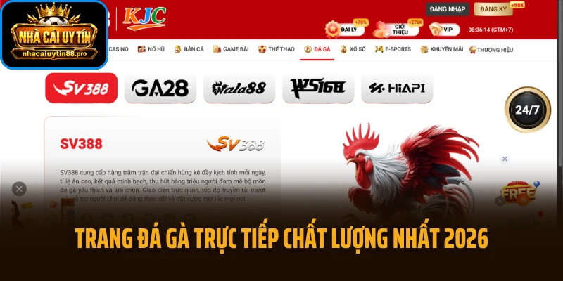 Những trang đá gà trực tiếp chất lượng nhất 2026