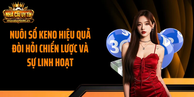 Nuôi số keno hiệu quả đòi hỏi chiến lược và sự linh hoạt