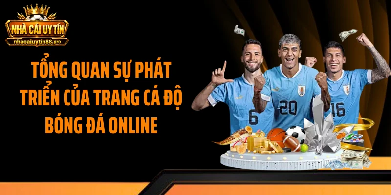 Tổng quan sự phát triển của trang cá độ bóng đá online